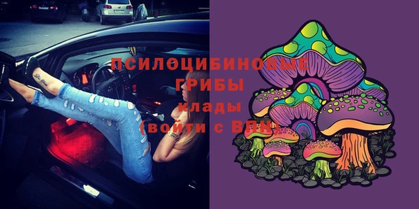 трава Алексин