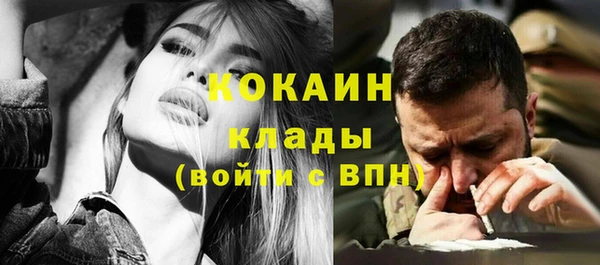 соль ск Алзамай