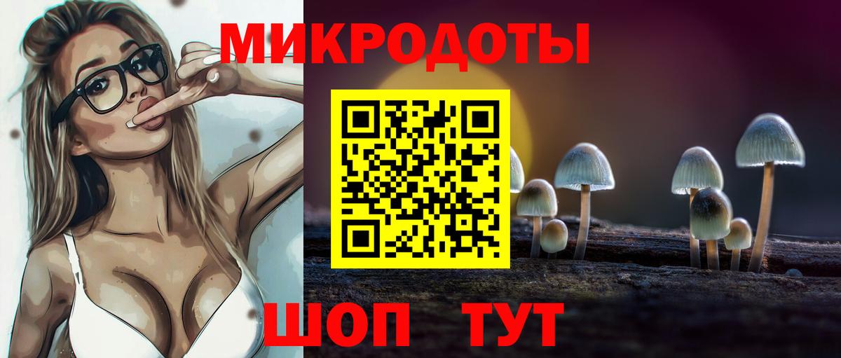 Галлюциногенные грибы мицелий  Галлюциногенные грибы Psilocybine cubensis  Сосновоборск  Вход с VPN 