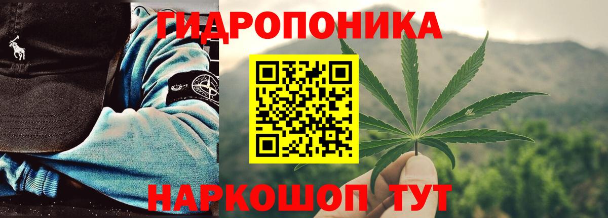Марихуана White Widow  Шишки марихуана White Widow  Вход с VPN  Конопля LSD WEED  Сосновоборск 